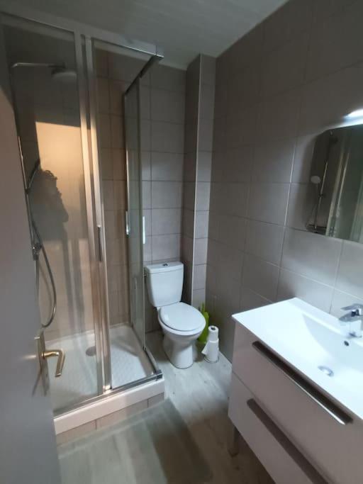 Appartement Duplex Avec Garage Annecy Centre Et Lac מראה חיצוני תמונה